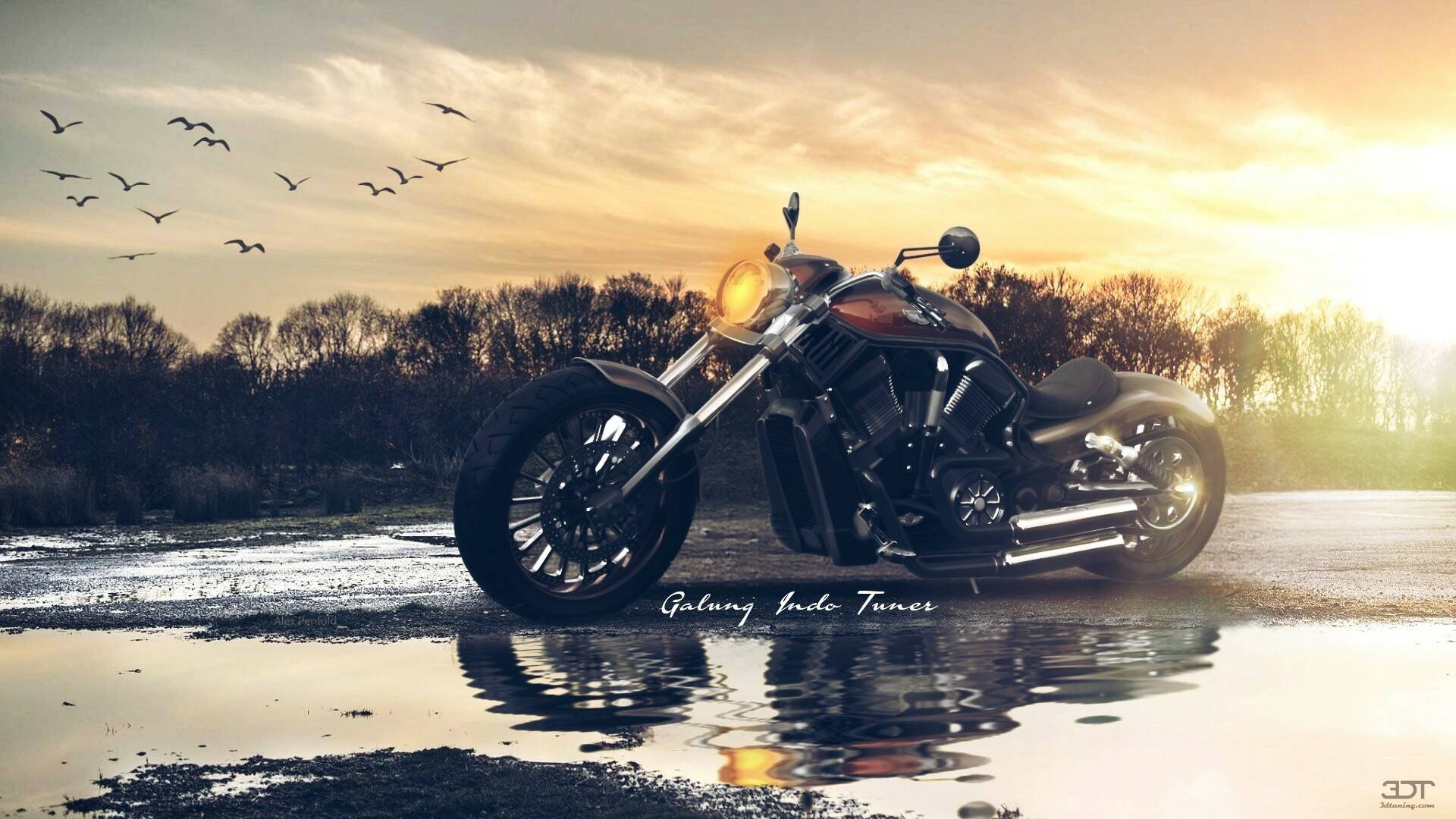 Harley-Davidson Custom Chopper Cruiser 2011