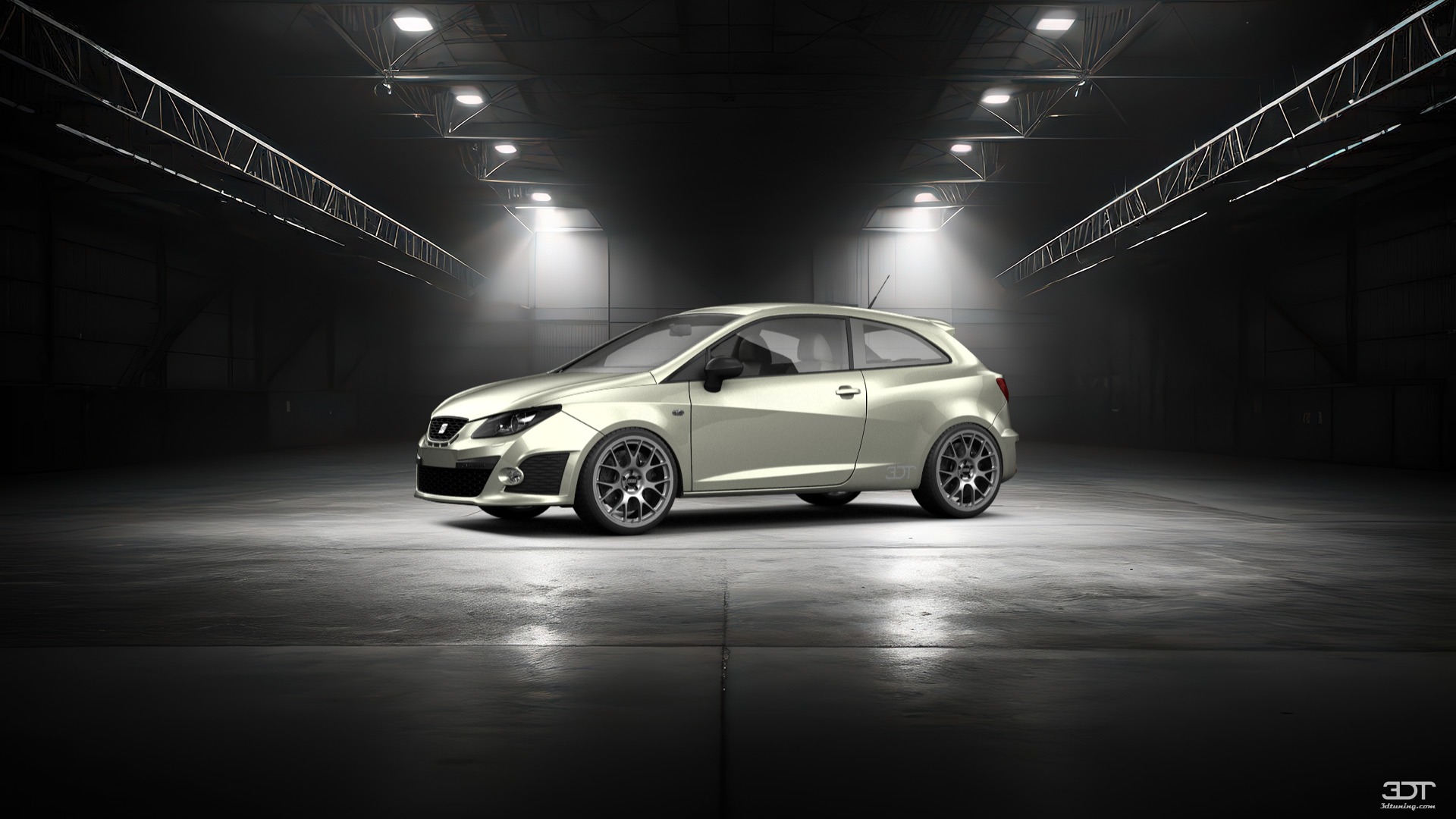 Seat Ibiza Cupra 3 Door Hatchback 2009 Images