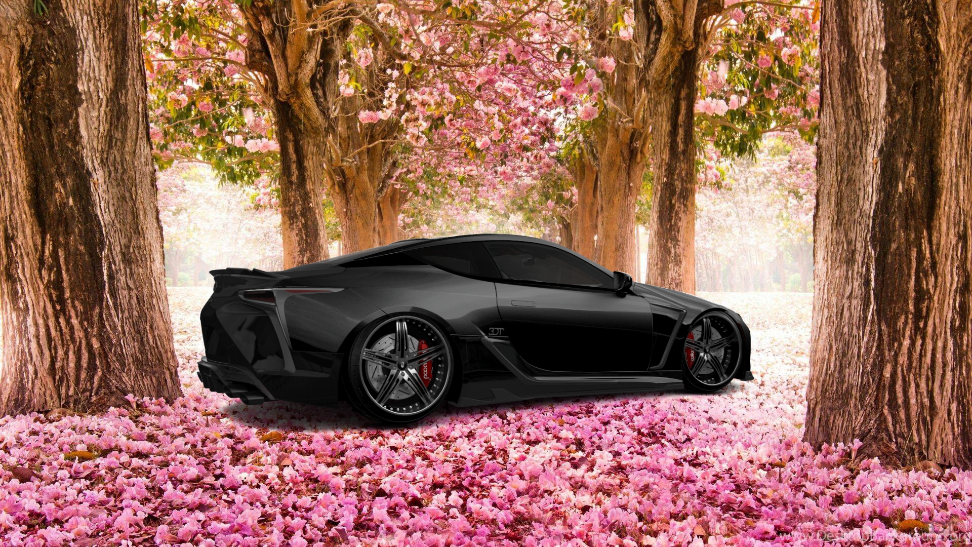 Lexus LC500 2 door fastback coupe 2017 Images