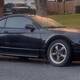 Mustang_25