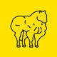 Buff_Horse_Media
